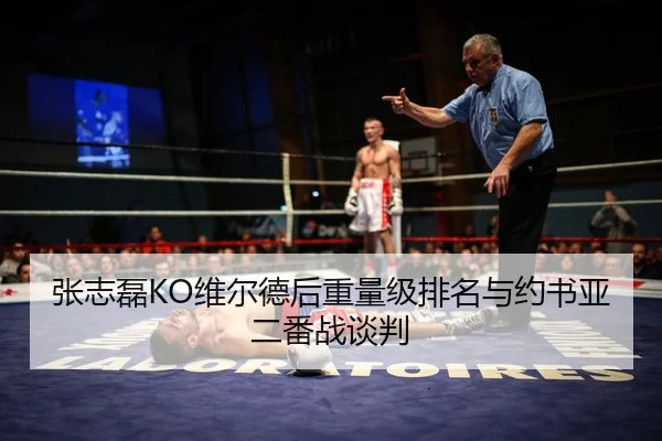 张志磊KO维尔德后重量级排名与约书亚二番战谈判